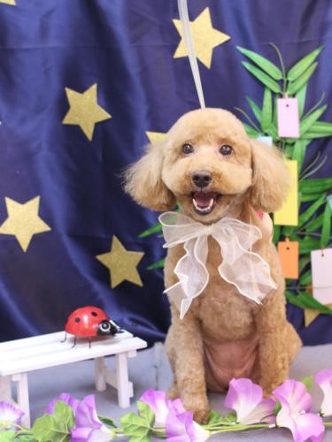 20230701COCOちゃん